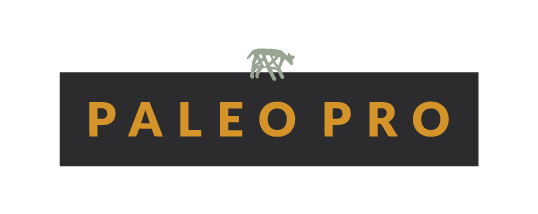 PALEOPRO-wordmark-icon-brandcolors